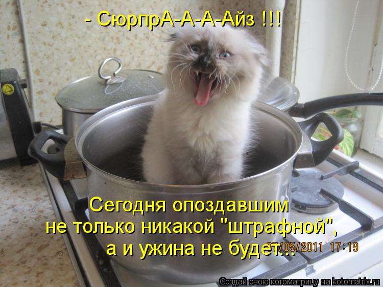 Котоматрица: - СюрпрА-А-А-Айз !!! не только никакой "штрафной", Сегодня опоздавшим  а и ужина не будет...