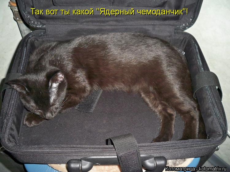 Котоматрица: Так вот ты какой "Ядерный чемоданчик"!
