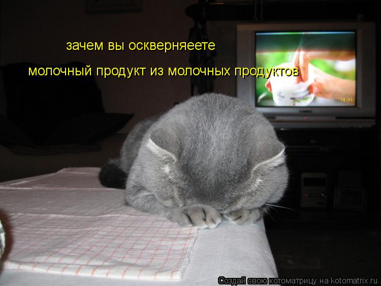 Котоматрица: зачем вы оскверняеете молочный продукт из молочных продуктов