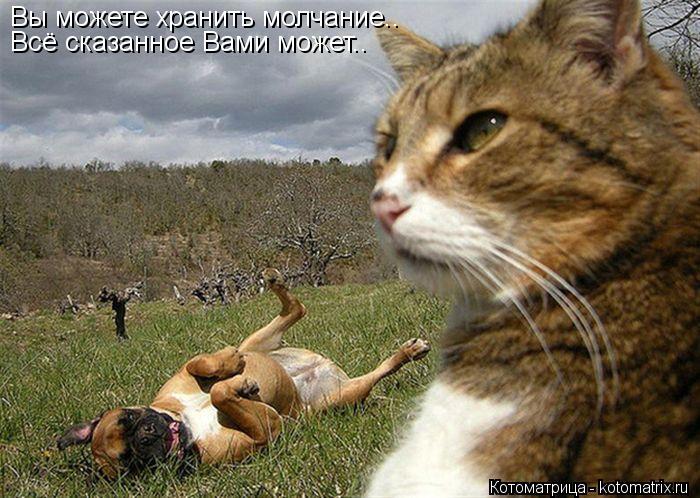Котоматрица: Вы можете хранить молчание.. Всё сказанное Вами может..