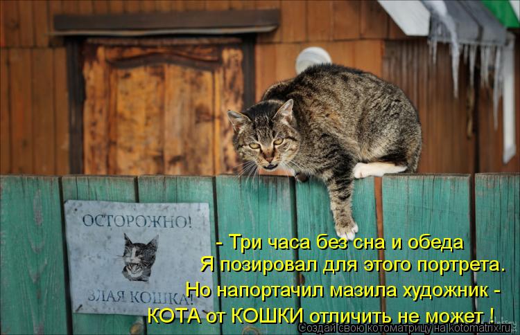 Котоматрица: Я позировал для этого портрета. - Три часа без сна и обеда Но напортачил мазила художник - КОТА от КОШКИ отличить не может !