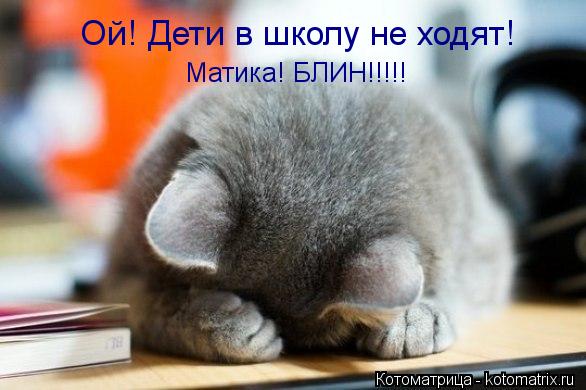 Котоматрица: Ой! Дети в школу не ходят! Матика! БЛИН!!!!!