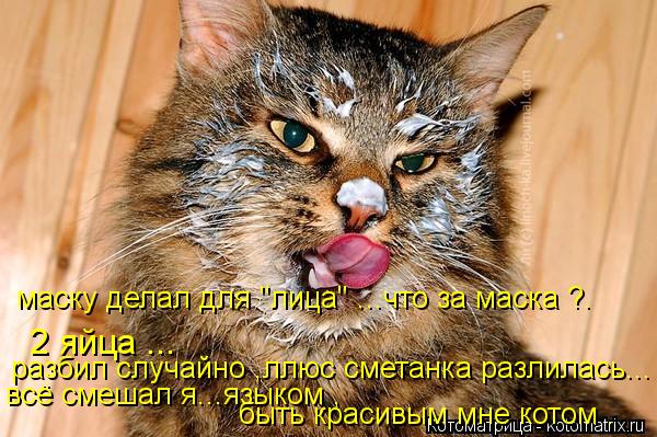 Котоматрица: маску делал для "лица" ...что за маска ?.  2 яйца ... разбил случайно ,ллюс сметанка разлилась... всё смешал я...языком , быть красивым мне котом .