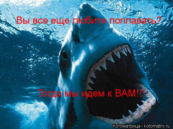 Котоматрица: Вы все еще любите поплавать? Тогда мы идем к ВАМ!!!
