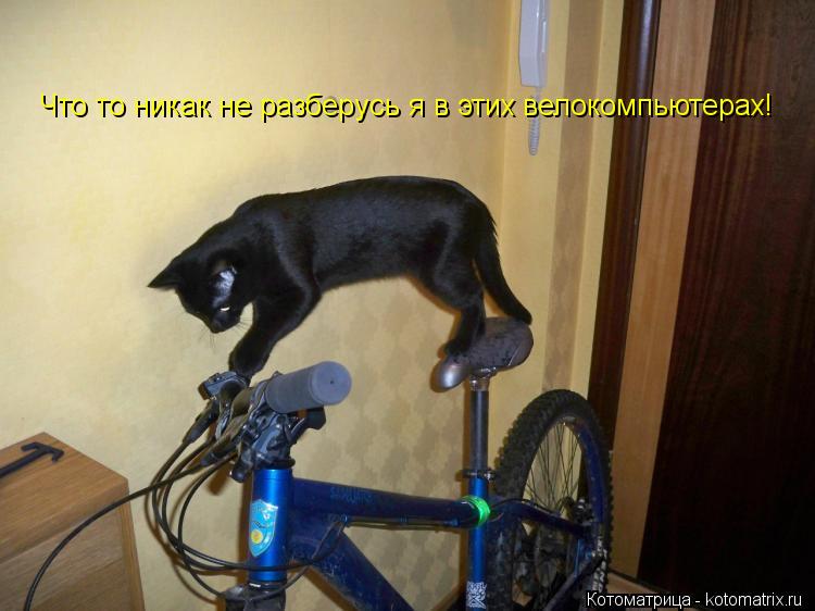 Котоматрица: Что то никак не разберусь я в этих велокомпьютерах!