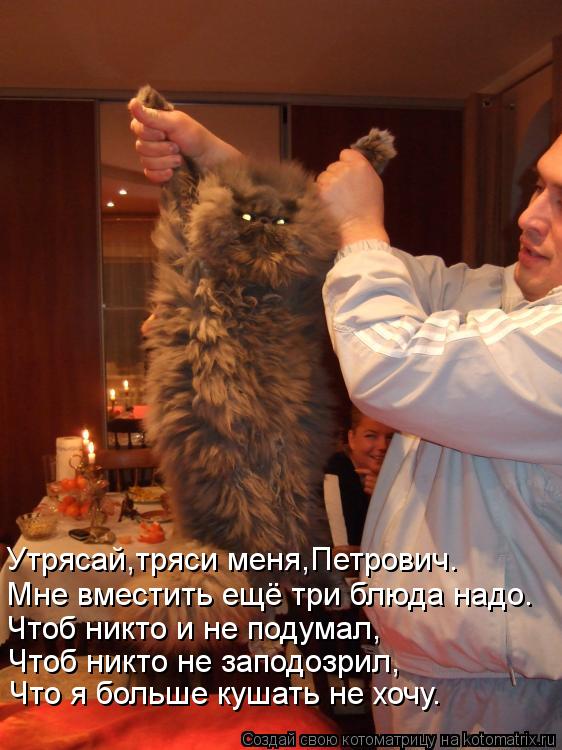 Утрясай,тряси меня,Петрович. Мне вместить ещё три блюда надо. Чтоб никто и не подумал, Чтоб никто не ... Котоматрица: Утрясай,тряси меня,Петрович. Мне вместить ещё три блюда надо. Чтоб никто и не подумал, Чтоб никто не заподозрил, Что я больше кушать не хочу.