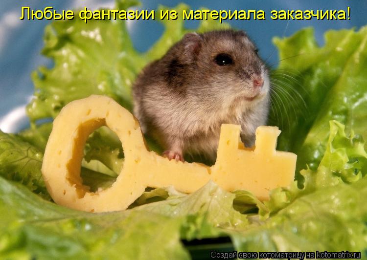 Любые фантазии из материала заказчика!... Котоматрица: Любые фантазии из материала заказчика!