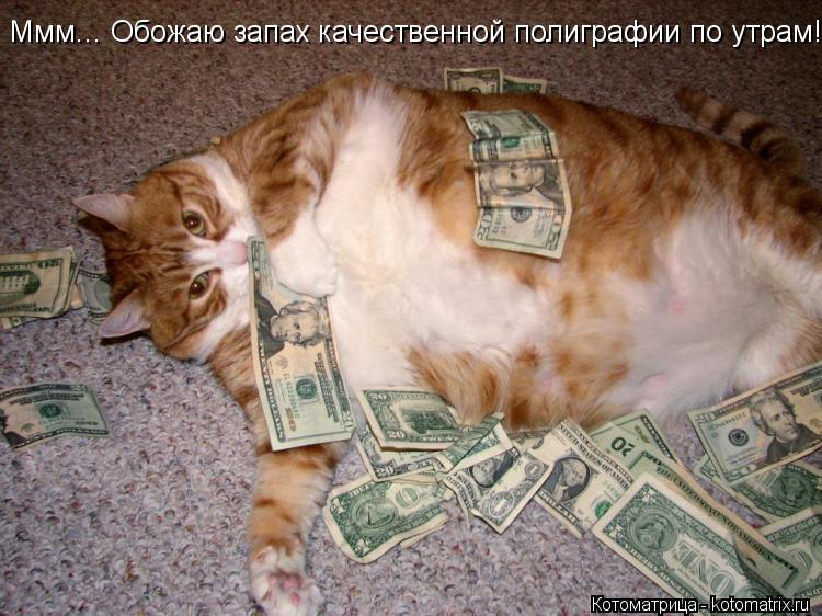 Котоматрица: Ммм... Обожаю запах качественной полиграфии по утрам!