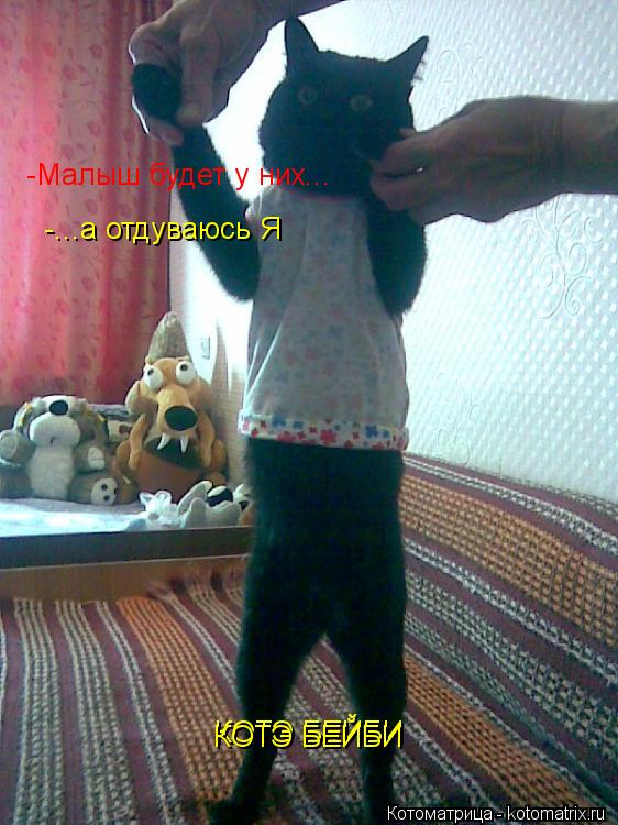Котоматрица: -Малыш будет у них... -...а отдуваюсь Я КОТЭ БЕЙБИ КОТЭ БЕЙБИ