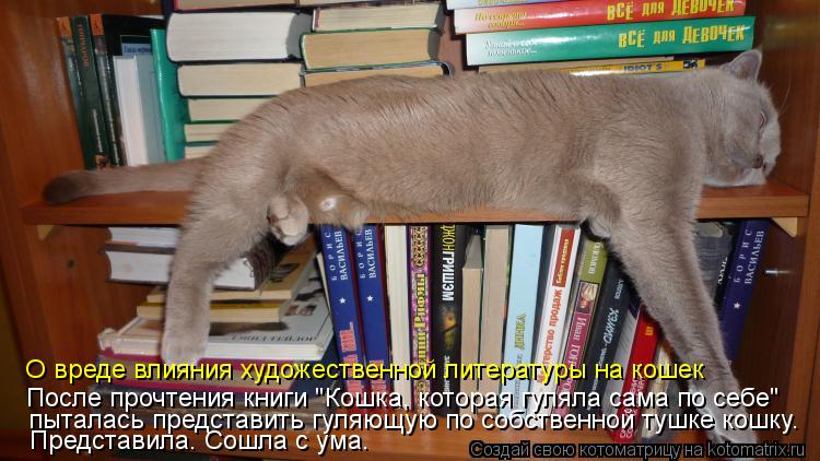 Котоматрица: После прочтения книги "Кошка, которая гуляла сама по себе"  пыталась представить гуляющую по собственной тушке кошку. Представила. Сошла с у
