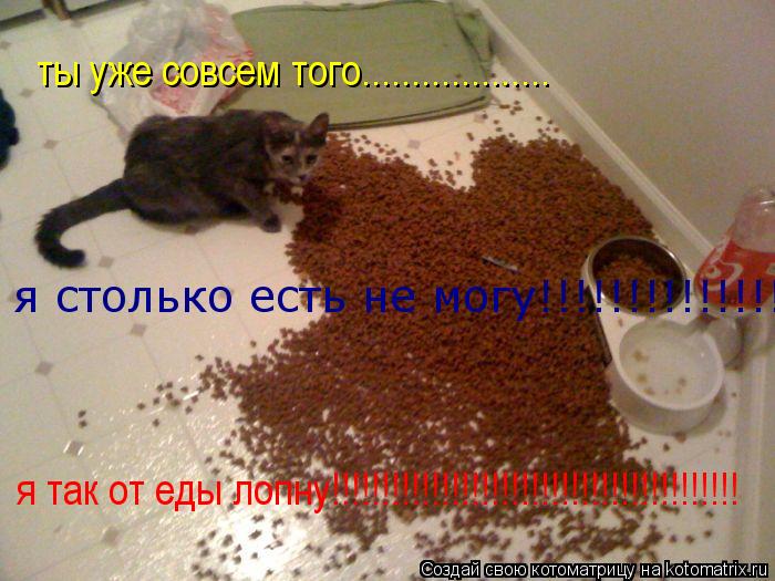 Котоматрица: ты уже совсем того................... я так от еды лопну!!!!!!!!!!!!!!!!!!!!!!!!!!!!!!!!!!!!!!!!! я столько есть не могу!!!!!!!!!!!!!!!!!!!!!!!!!!!!!!!!!!!!!!!!!!!!!!
