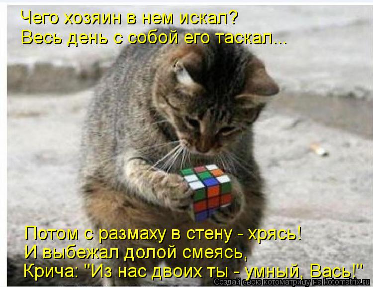 Котоматрица: Чего хозяин в нем искал? Весь день с собой его таскал... Потом с размаху в стену - хрясь! И выбежал долой смеясь, Крича: "Из нас двоих ты - умный, 