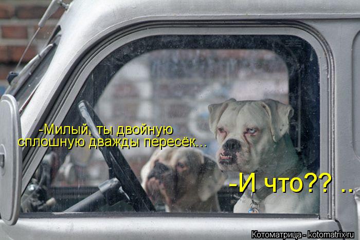 Котоматрица: -Милый, ты двойную  сплошную дважды пересёк... -И что?? .. -И что?? ..