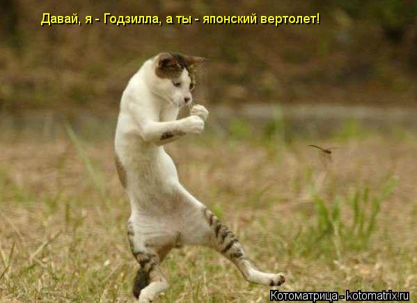 Котоматрица: Давай, я - Годзилла, а ты - японский вертолет!