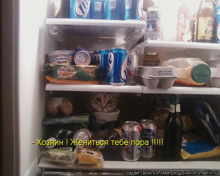 Котоматрица: - Хозяин ! Жениться тебе пора !!!!!