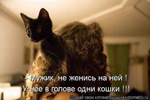 Котоматрица: - Мужик, не женись на ней ! У нее в голове одни кошки !!!