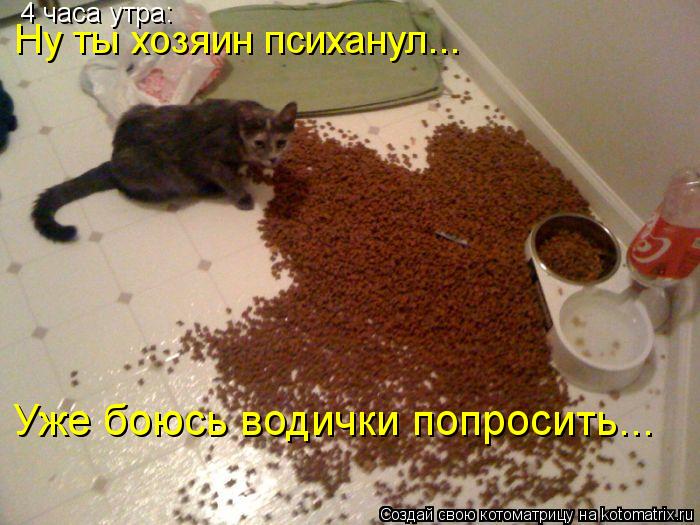 Котоматрица: Ну ты хозяин психанул... 4 часа утра: Уже боюсь водички попросить...
