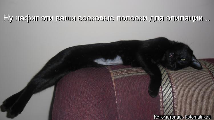 Котоматрица: Ну нафиг эти ваши восковые полоски для эпиляции...