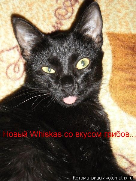 Котоматрица: Новый Whiskas со вкусом грибов...