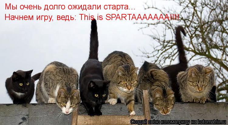 Котоматрица: Мы очень долго ожидали старта... Начнем игру, ведь: This is SPARTAAAAAAA!!!! Мы очень долго ожидали старта... Мы очень долго ожидали старта...