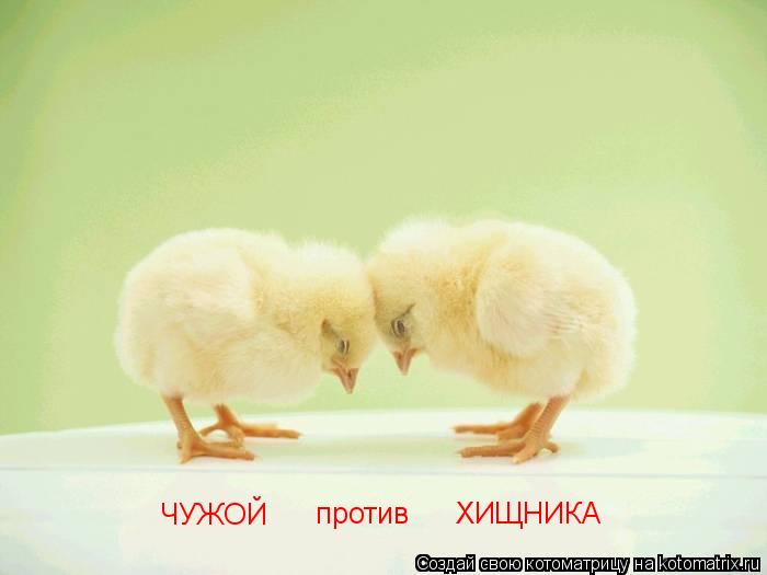 Котоматрица: ЧУЖОЙ против ХИЩНИКА