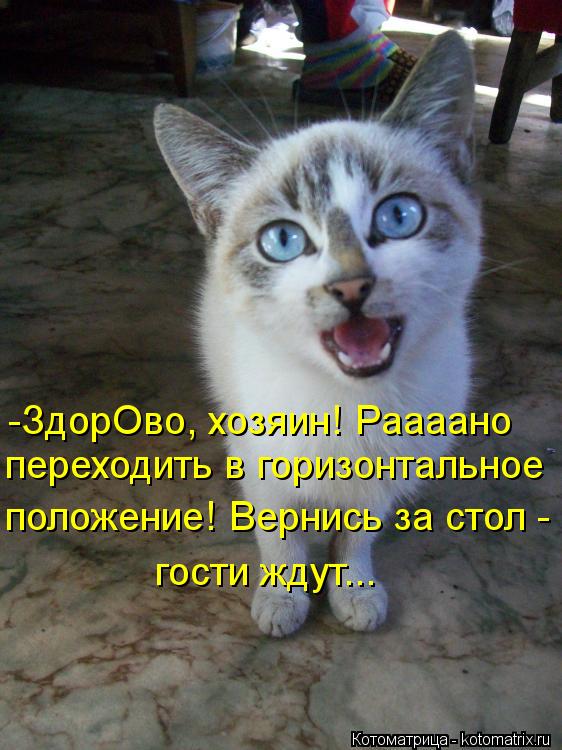 Котоматрица: -ЗдорОво, хозяин! Раааано  переходить в горизонтальное  положение! Вернись за стол -  гости ждут...