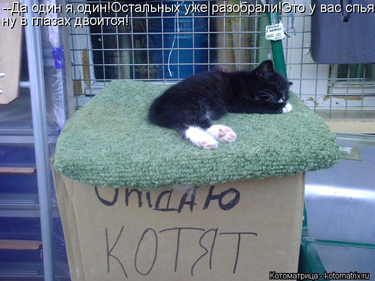 Котоматрица: --Да один я,один!Остальных уже разобрали!Это у вас спья- ну в глазах двоится!