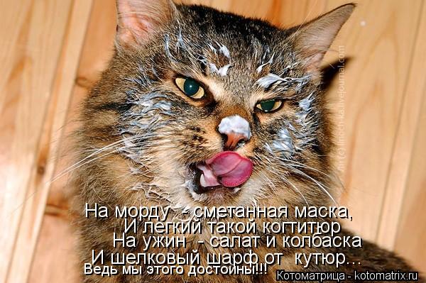 Котоматрица: И легкий такой когтитюр На ужин  - салат и колбаска На морду  - сметанная маска, И шелковый шарф от  кутюр... Ведь мы этого достойны!!!