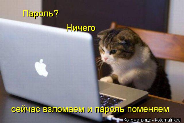 Котоматрица: Пароль? Ничего сейчас взломаем и пароль поменяем