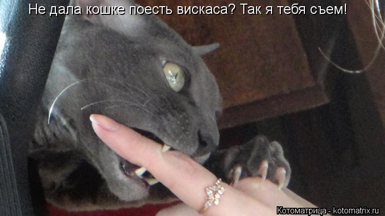 Котоматрица: Не дала кошке поесть вискаса? Так я тебя съем!
