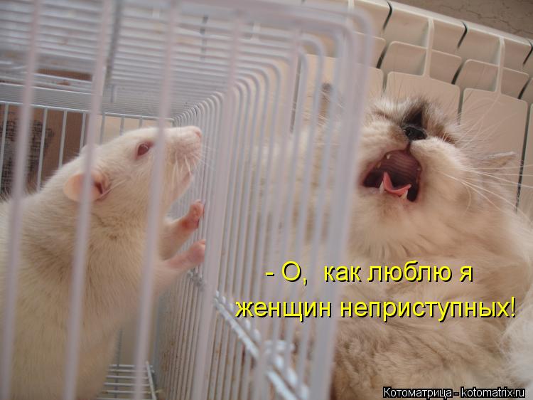 женщин неприступных! - О, как люблю я... Котоматрица: женщин неприступных! - О, как люблю я