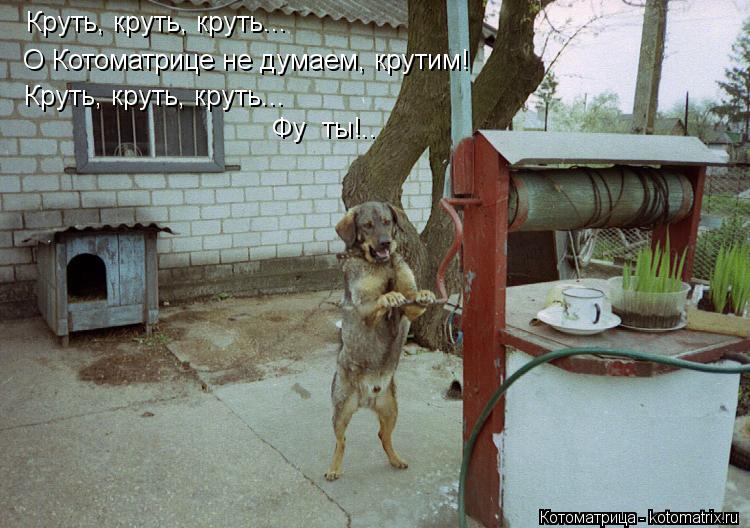 Круть, круть, круть... Круть, круть, круть... О Котоматрице не думаем, крутим! Фу ты!..... Котоматрица: Круть, круть, круть... Круть, круть, круть... О Котоматрице не думаем, крутим! Фу ты!..