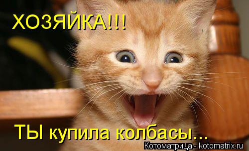 Котоматрица: ХОЗЯЙКА!!! ТЫ купила колбасы...