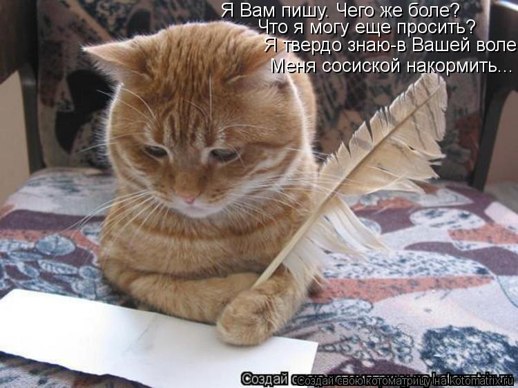 Котоматрица: Я Вам пишу. Чего же боле?  Что я могу еще просить? Я твердо знаю-в Вашей воле Меня сосиской накормить...