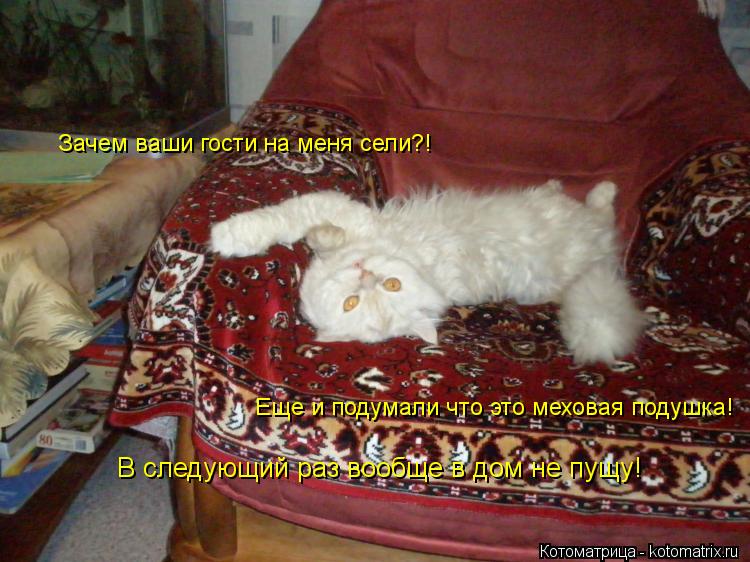 Котоматрица: Зачем ваши гости на меня сели?! Еще и подумали что это меховая подушка! В следующий раз вообще в дом не пущу!