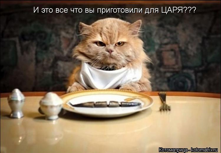 Котоматрица: И это все что вы приготовили для ЦАРЯ???