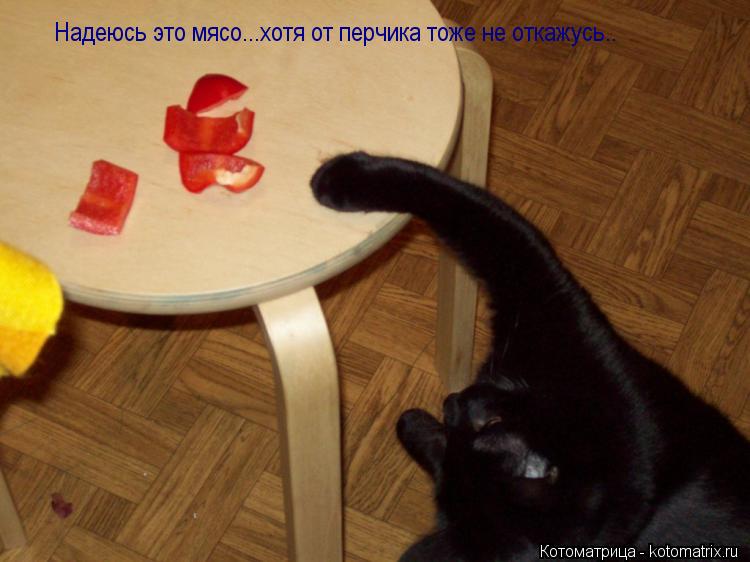 Котоматрица: Надеюсь это мясо...хотя от перчика тоже не откажусь..