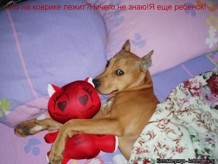 Котоматрица: Что на коврике лежит?Ничего не знаю!Я еще ребенок!