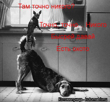 Котоматрица: Там точно никого? Точно, точно... Никого Бысрей давай  Есть охото