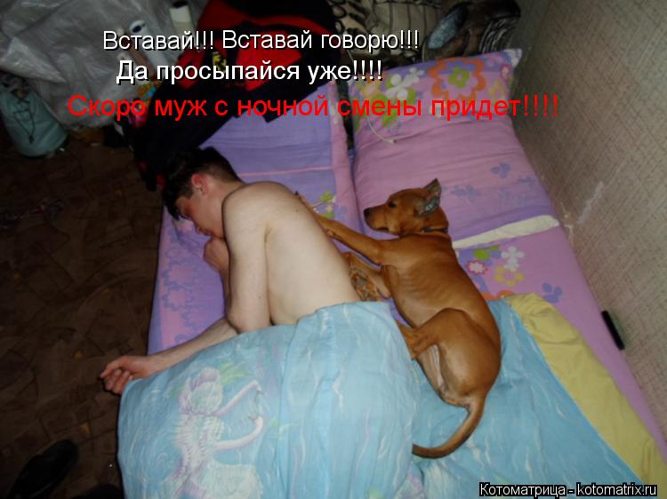 Котоматрица: Вставай!!! Да просыпайся уже!!!! Вставай говорю!!! Скоро муж с ночной смены придет!!!!