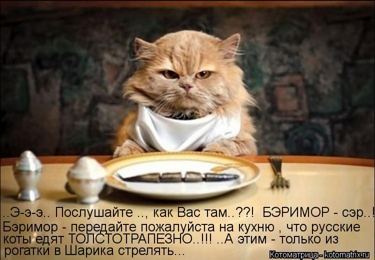 Котоматрица: ..Э-э-э.. Послушайте .., как Вас там..??!  БЭРИМОР - сэр..!  Бэримор - передайте пожалуйста на кухню , что русские коты едят ТОЛСТОТРАПЕЗНО..!!! ..А этим