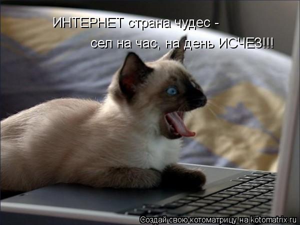 Котоматрица: ИНТЕРНЕТ страна чудес -  сел на час, на день ИСЧЕЗ!!!