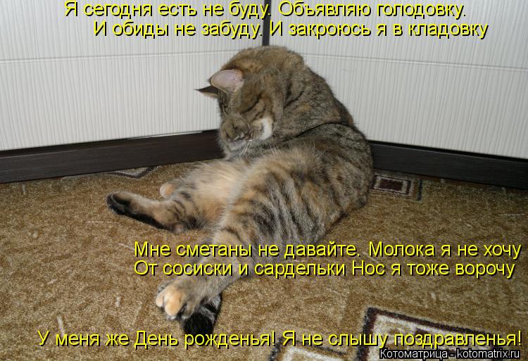 Котоматрица: Я сегодня есть не буду. Объявляю голодовку. И обиды не забуду. И закроюсь я в кладовку Мне сметаны не давайте. Молока я не хочу От сосиски и са