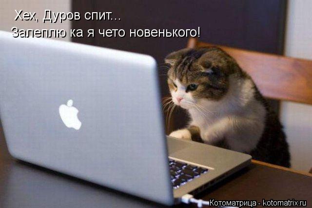 Котоматрица: Хех, Дуров спит... Залеплю ка я чето новенького!