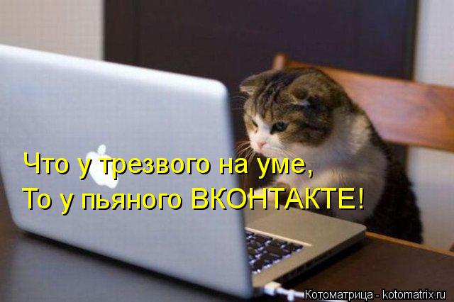 Котоматрица: Что у трезвого на уме, То у пьяного ВКОНТАКТЕ!