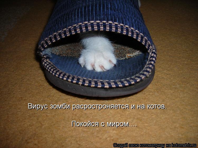 Котоматрица: Вирус зомби расростроняется и на котов. Покойся с миром....