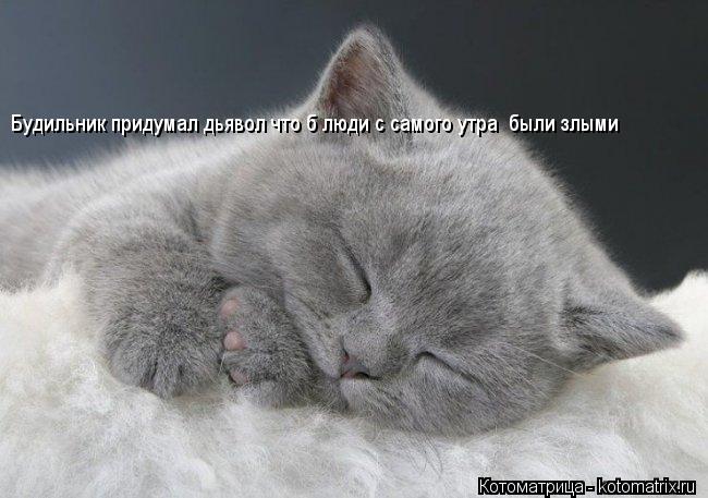 Котоматрица: Будильник придумал дьявол что б люди с самого утра  были злыми