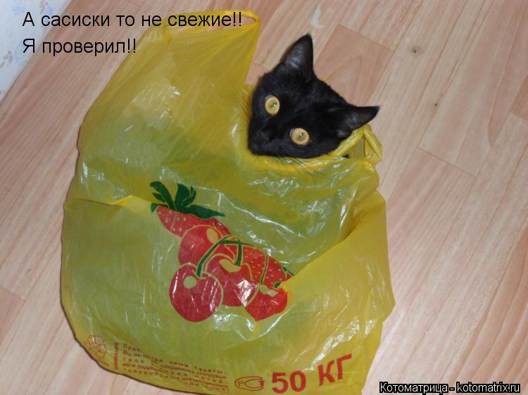 Котоматрица: А сасиски то не свежие!! Я проверил!!