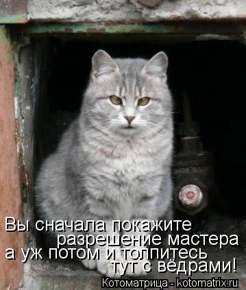 Котоматрица: Вы сначала покажите разрешение мастера а уж потом и толпитесь тут с вёдрами!