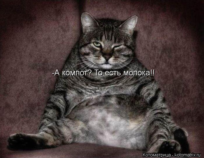 Котоматрица: -А компот? То есть молока!!